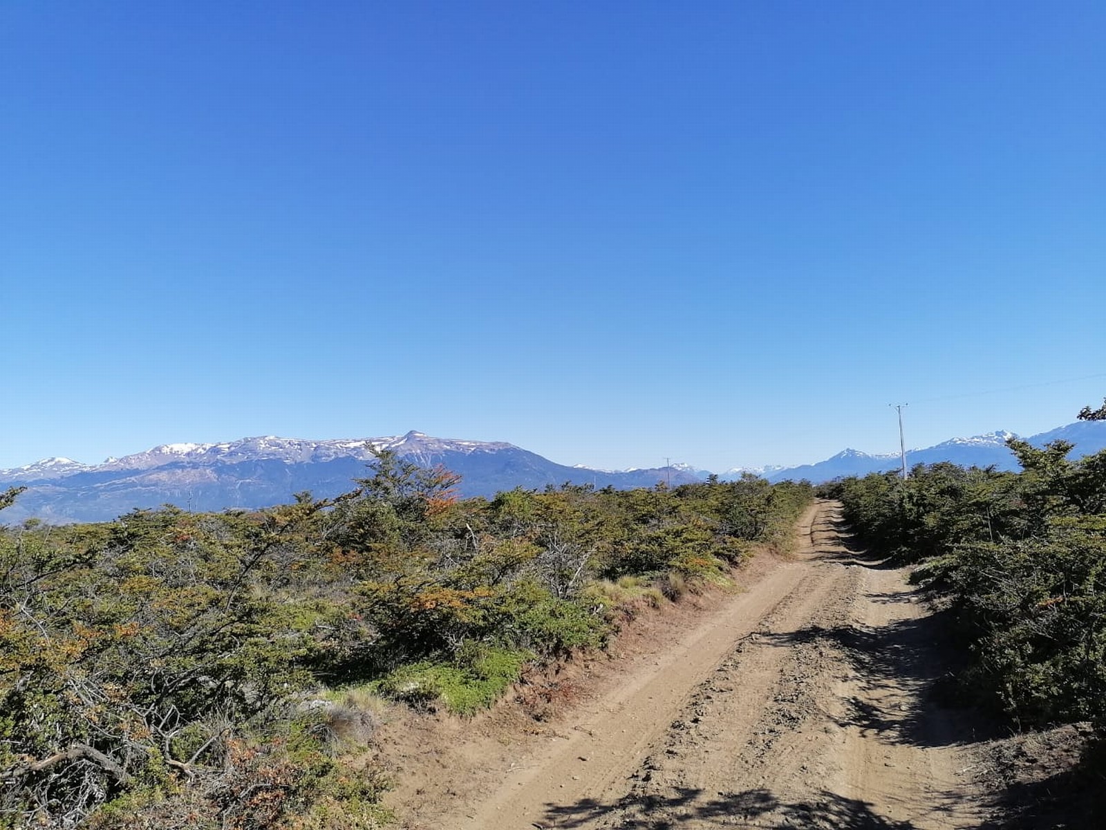 Vida al aire libre